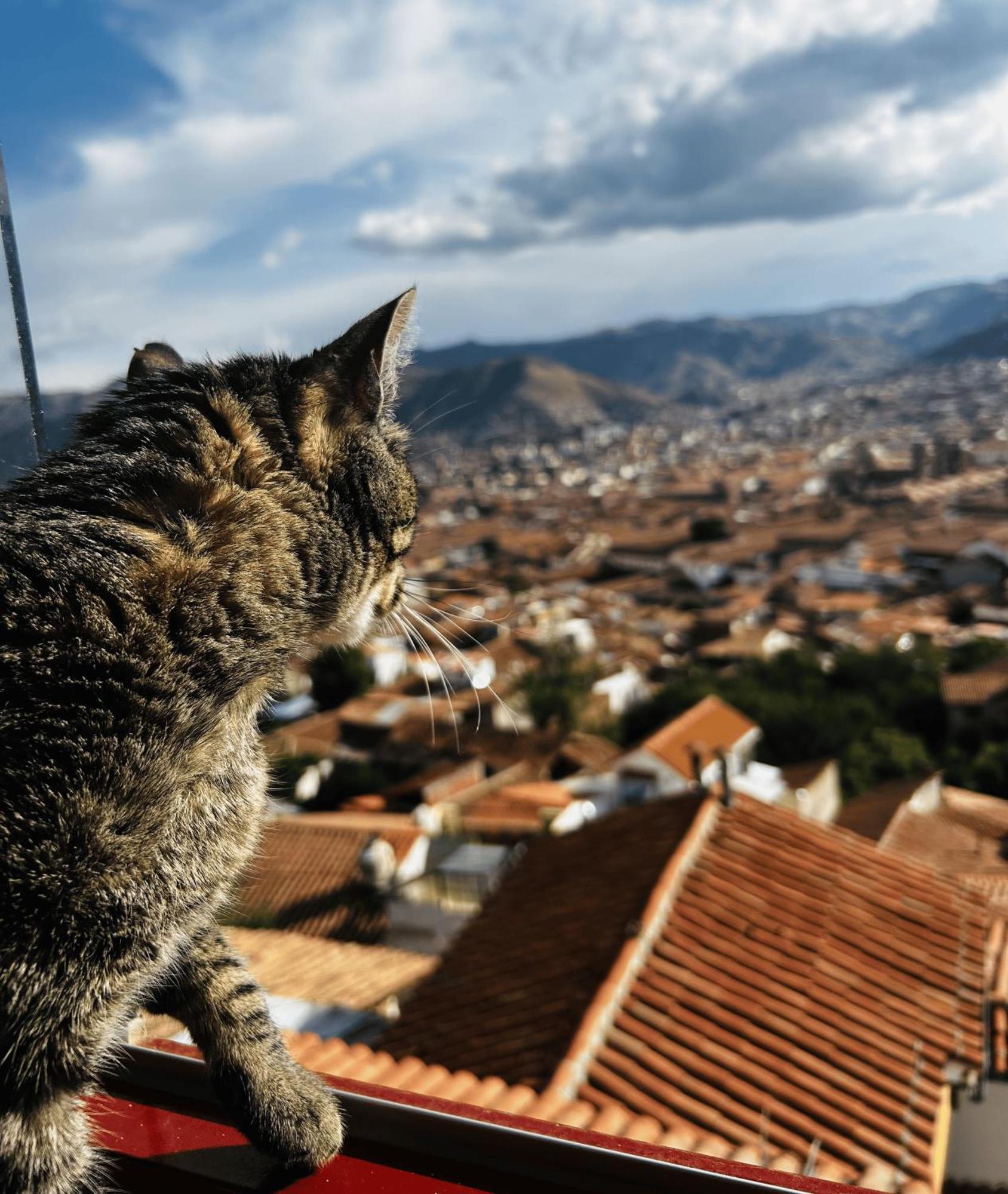Summit Viewpoint House San Blas Cusco Exterior photo
